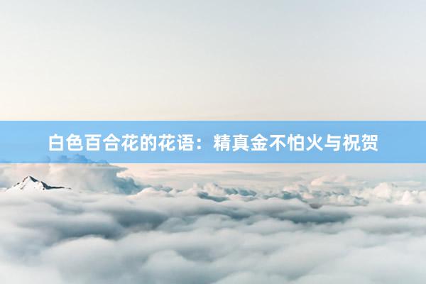 白色百合花的花语：精真金不怕火与祝贺