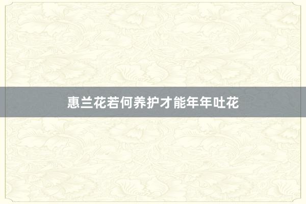 惠兰花若何养护才能年年吐花