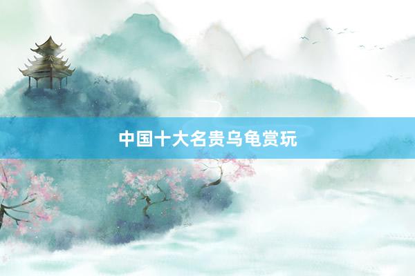 中国十大名贵乌龟赏玩
